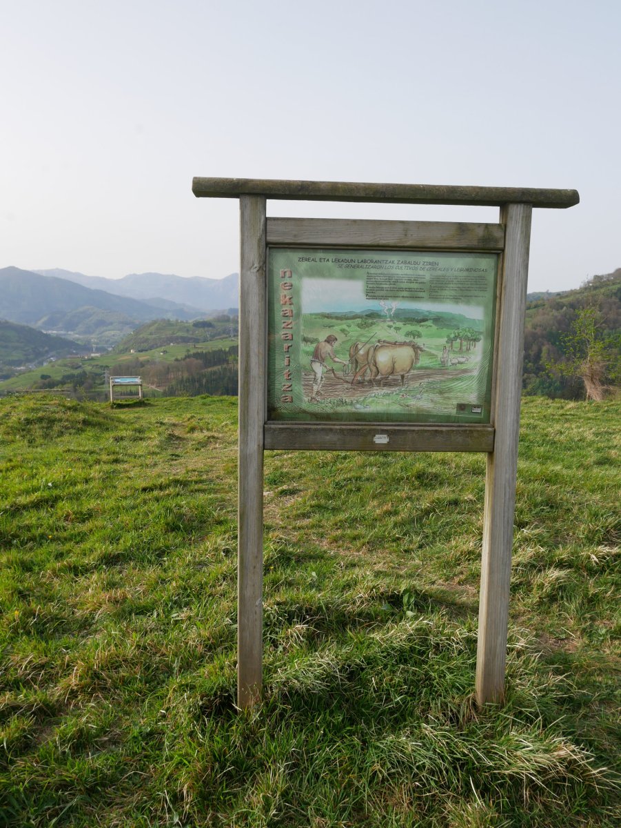 Panela