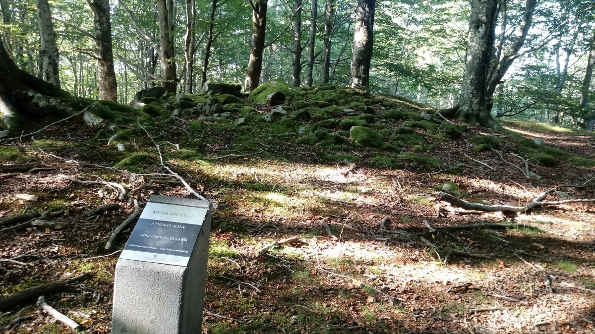 Atxuko aldai trikuharria