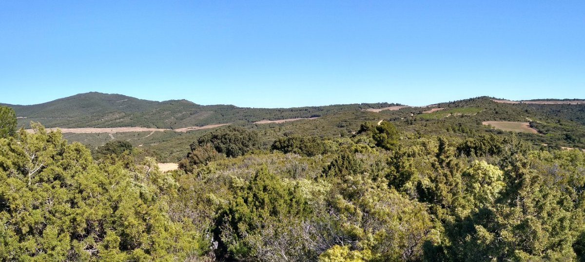 Salado gaina