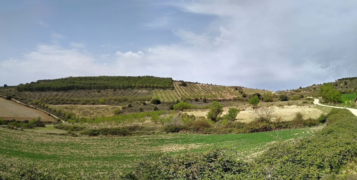 Alto del Monte