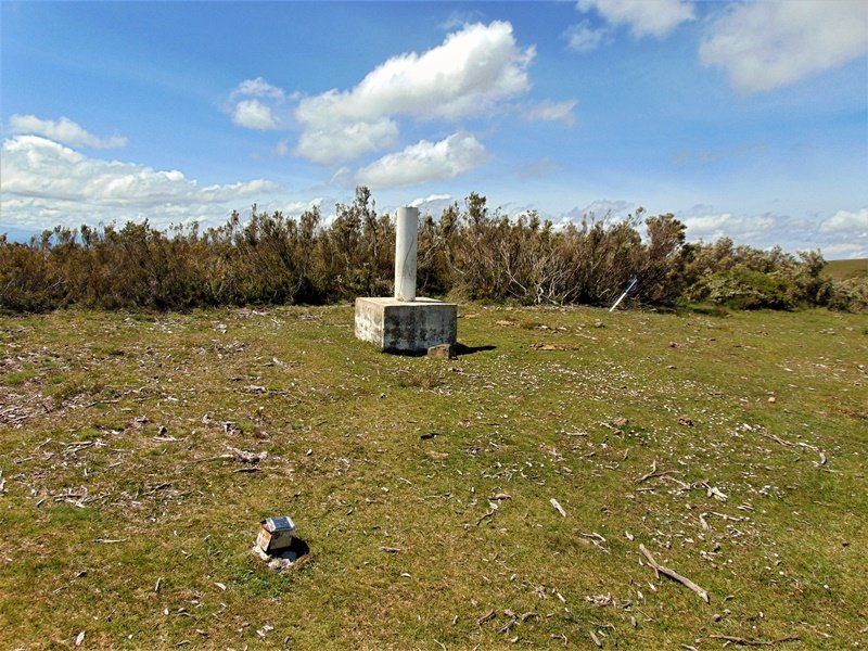 Tontorra