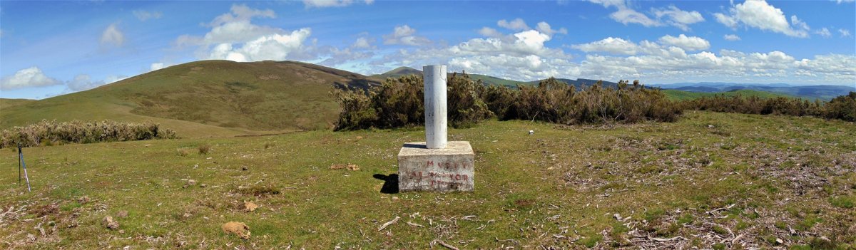 Tontorra