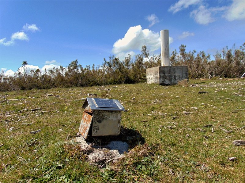 Tontorra