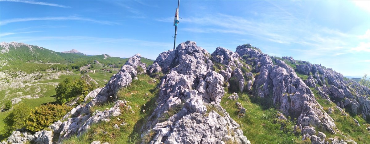 Tontorra