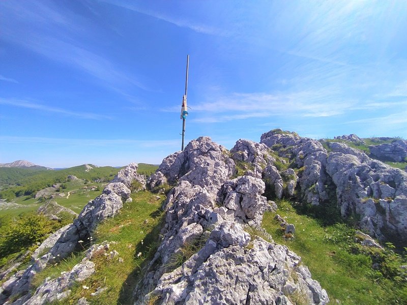 Tontorra