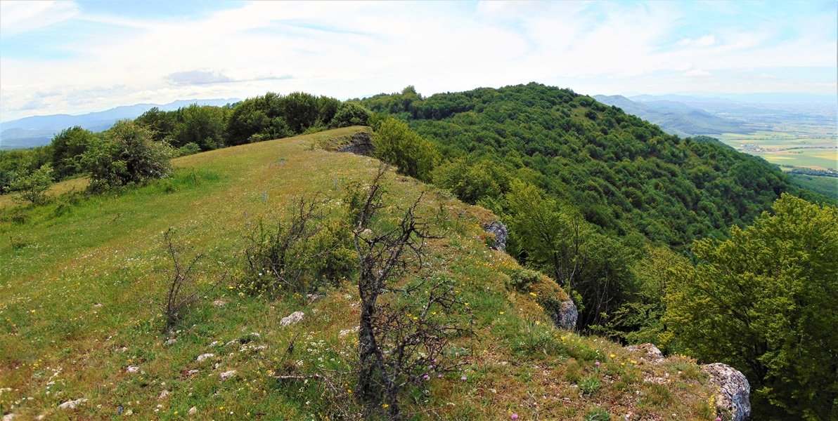 Santa Elena