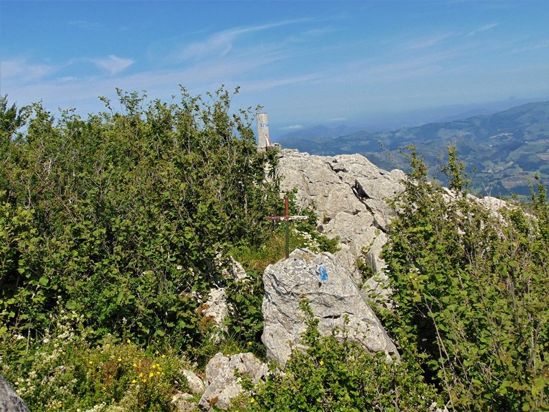 Tontorra