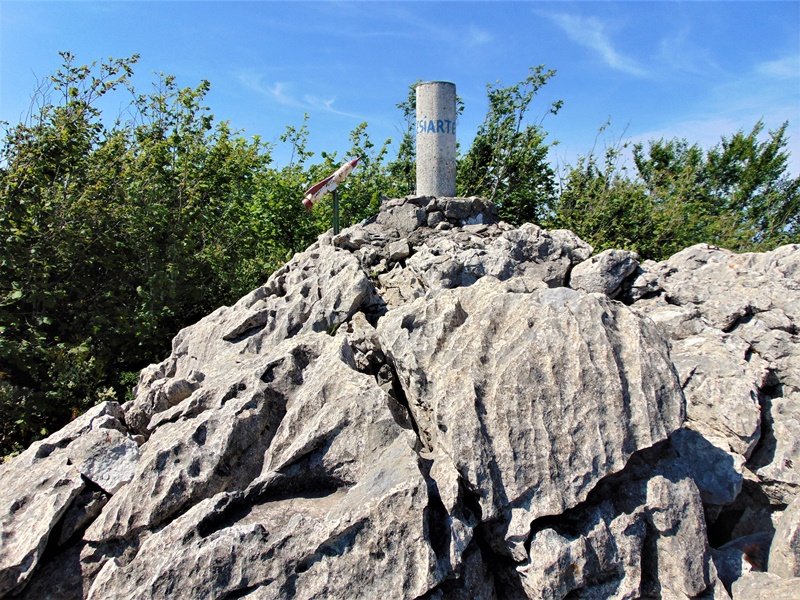 Tontorra