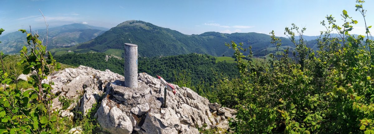 Tontorra