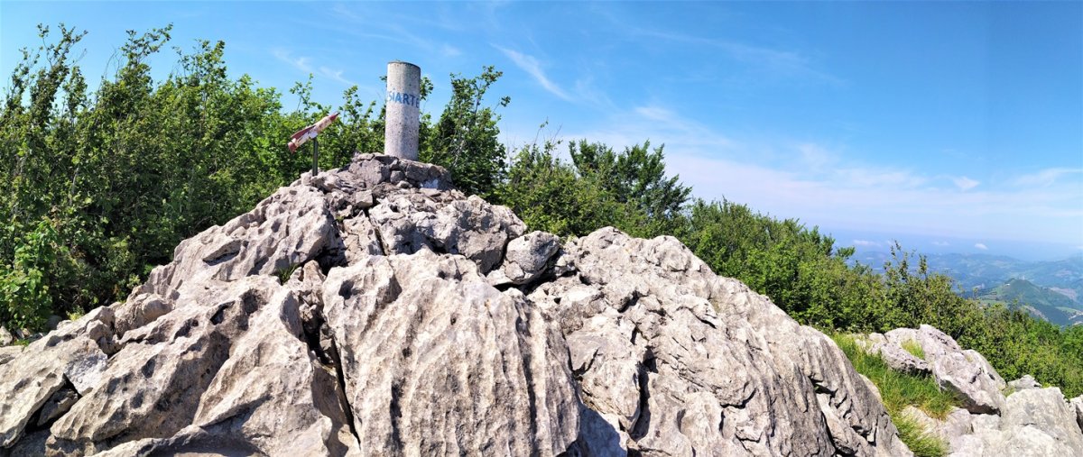 Tontorra