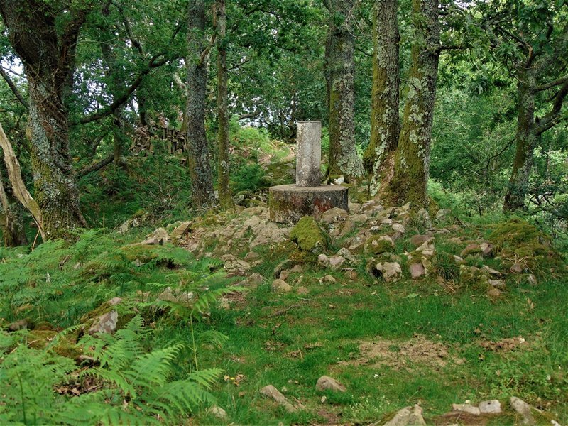 Tontorra