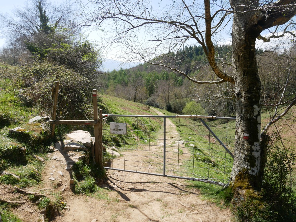 Langa bidean