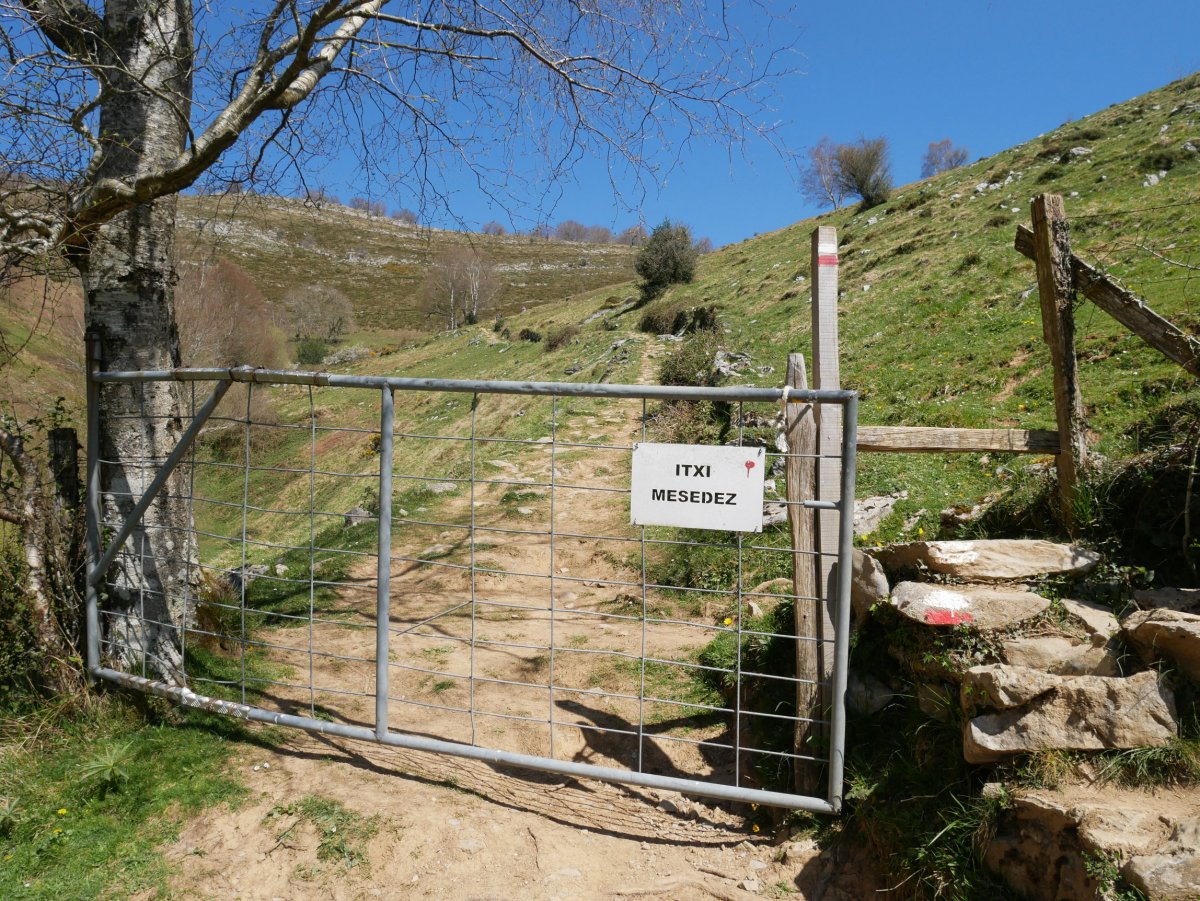 Langa bidean