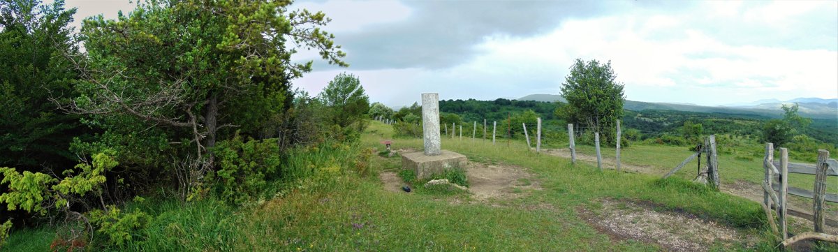 Tontorra