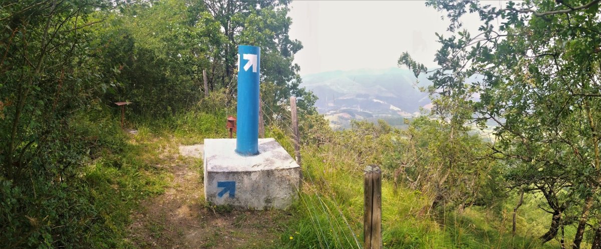 Tontorra