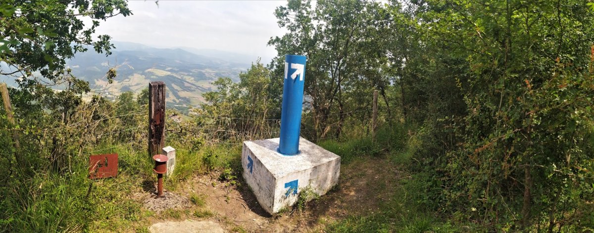 Tontorra