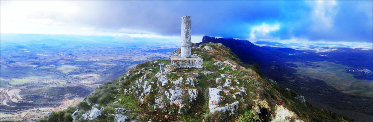 Tontorra