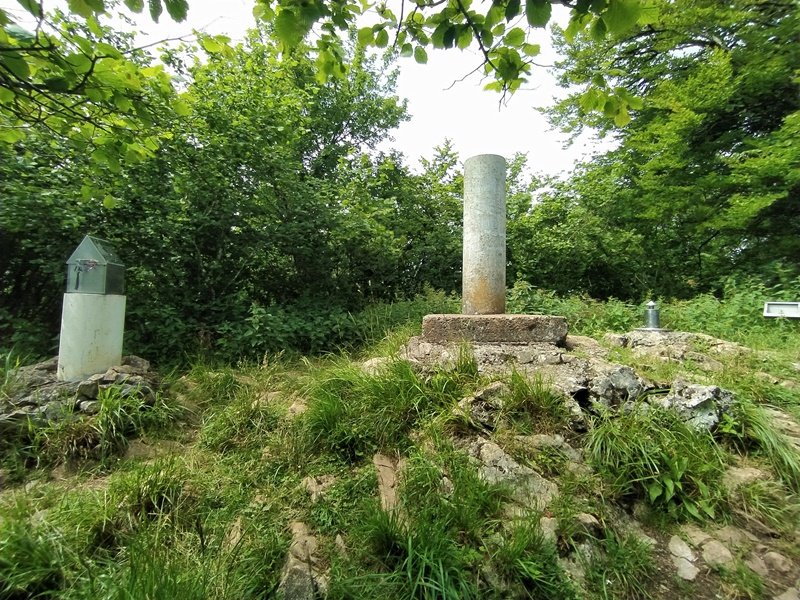 Tontorra
