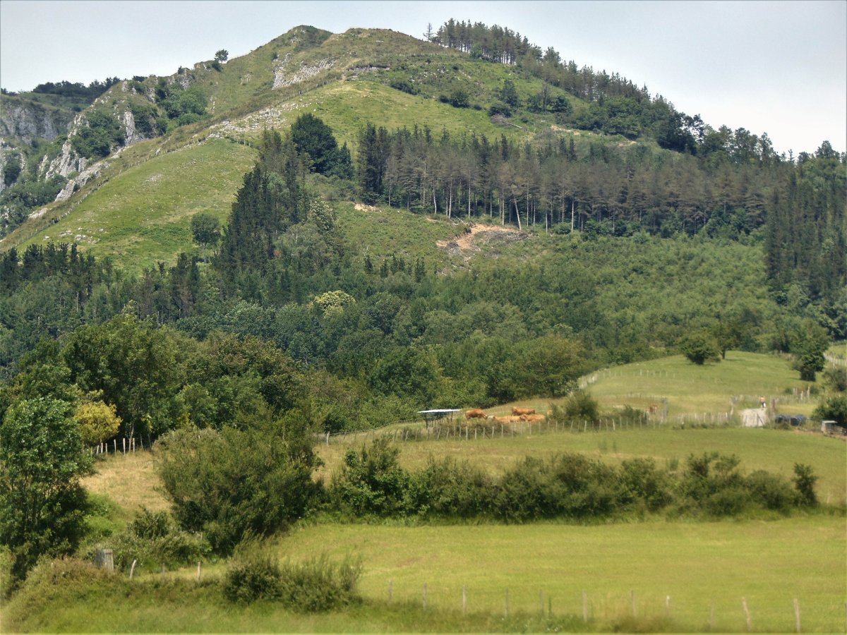 Uzturre