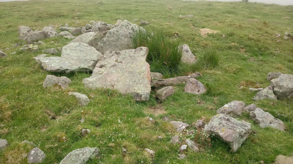 Luurzu I Erdi trikuharria