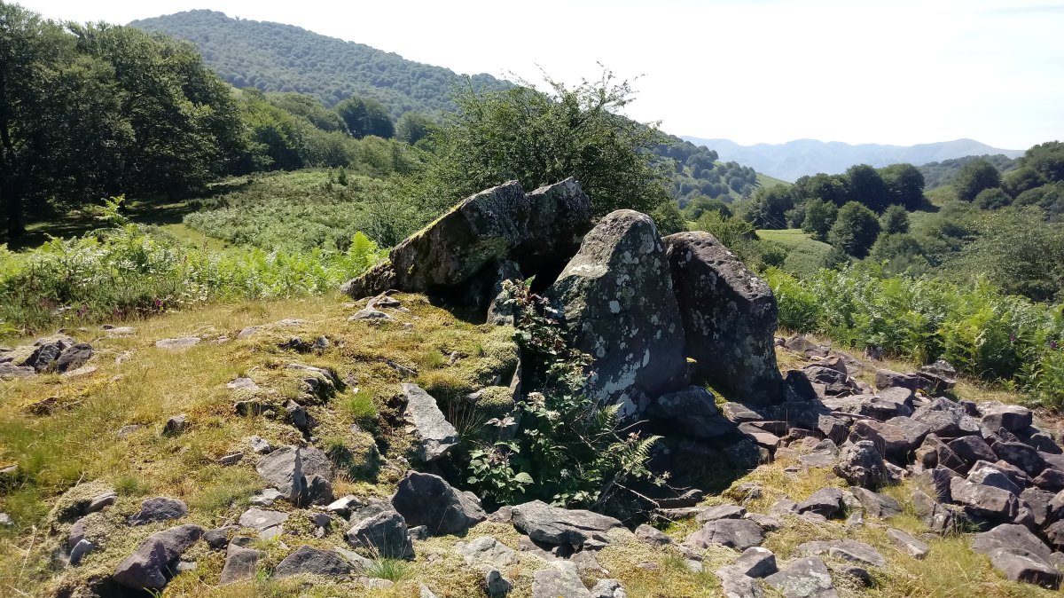 Lamizilo trikuharria