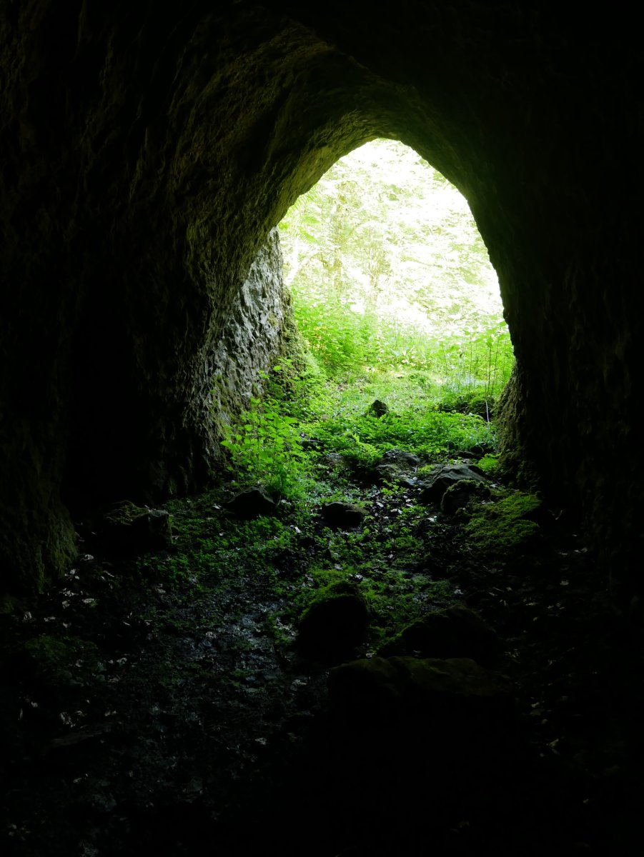 Sarrera barrutik