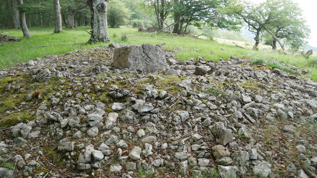 2021eko uztaila