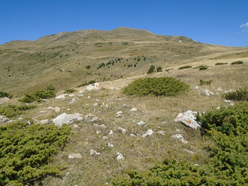 turmaquera 1