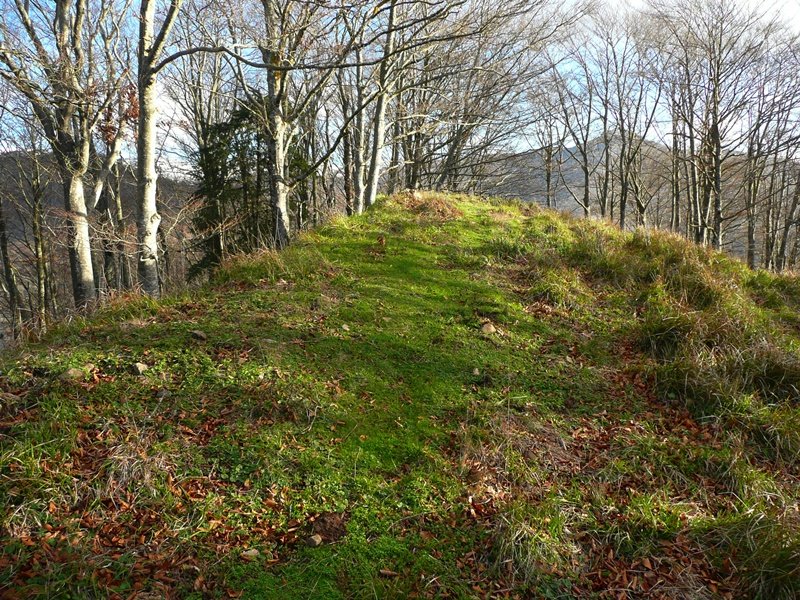 Tontorra
