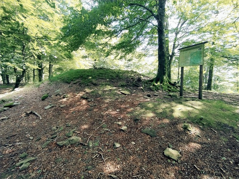 Tontorra