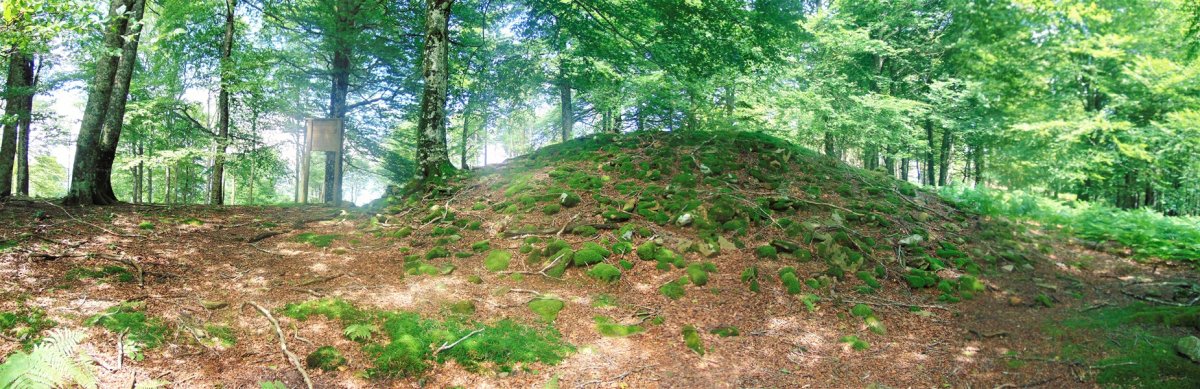 Tontorra