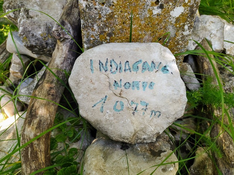 Indiagana Iparraldea