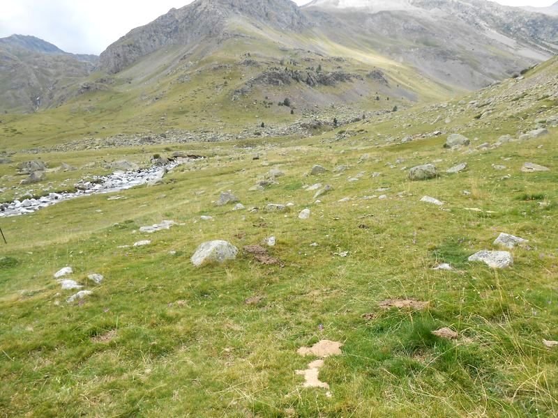 montañeta bergua 8