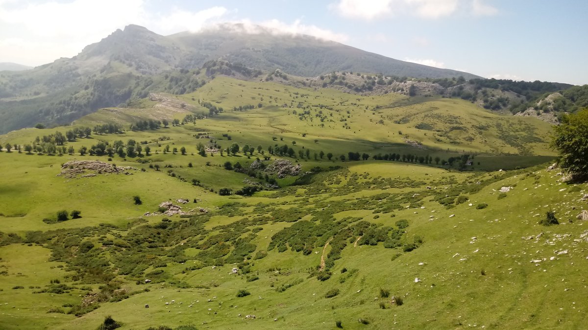 Arrabako zelaiak