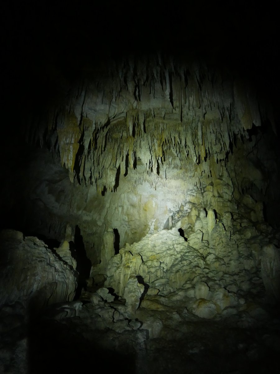 Egar 2