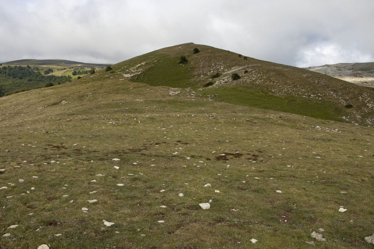 Peña Elordia