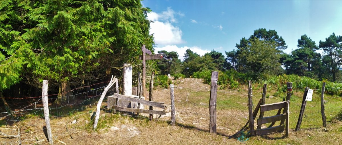 Tontorra
