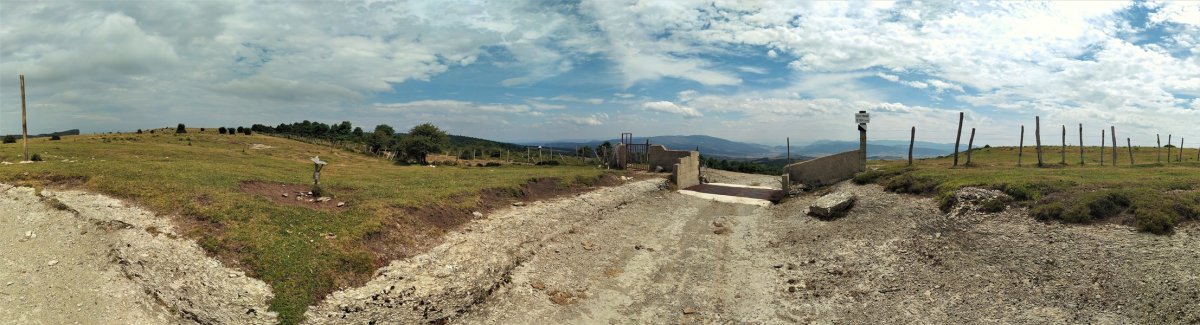 Tontorra