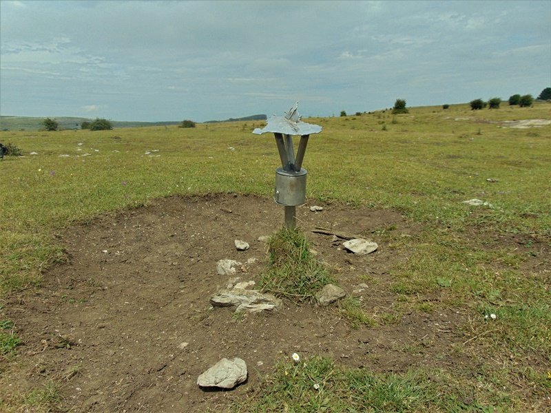 Tontorra