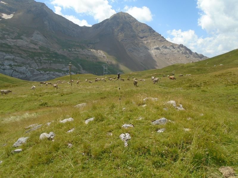 planas de lapazosa 