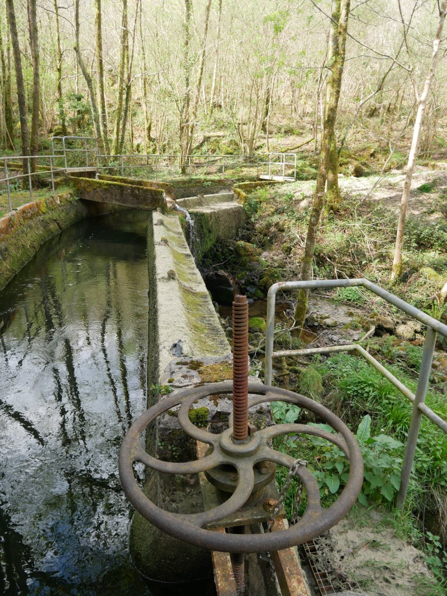 Ameraungo kanala
