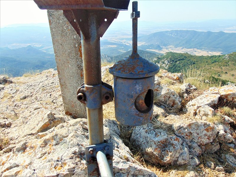 Buzoia