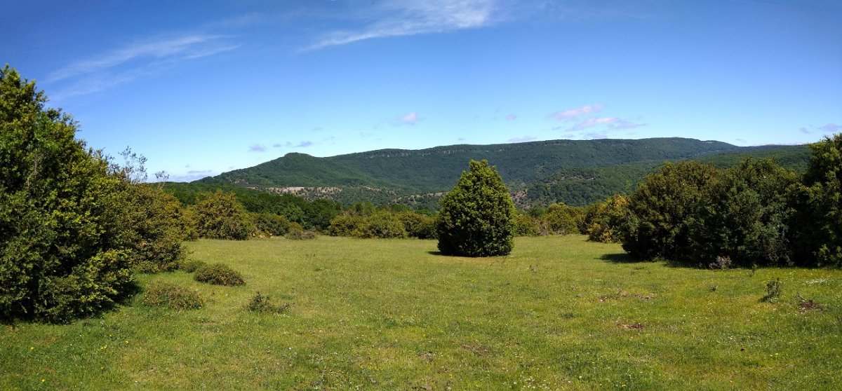 Iparraldeko larreak