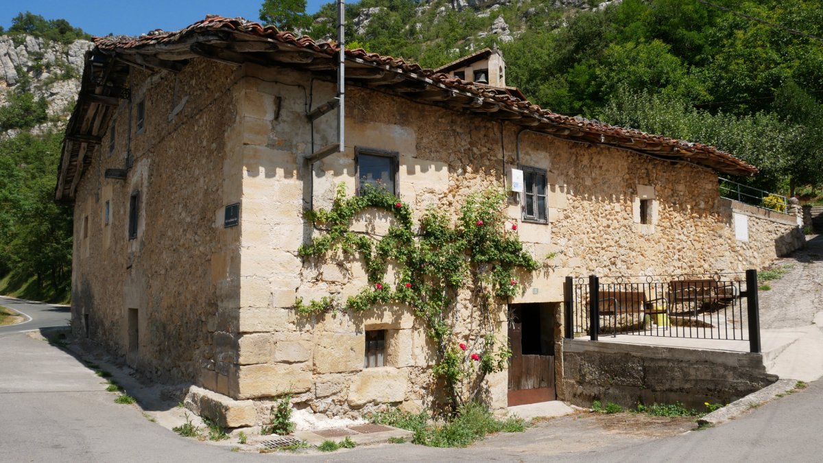 Etxea, Elortza