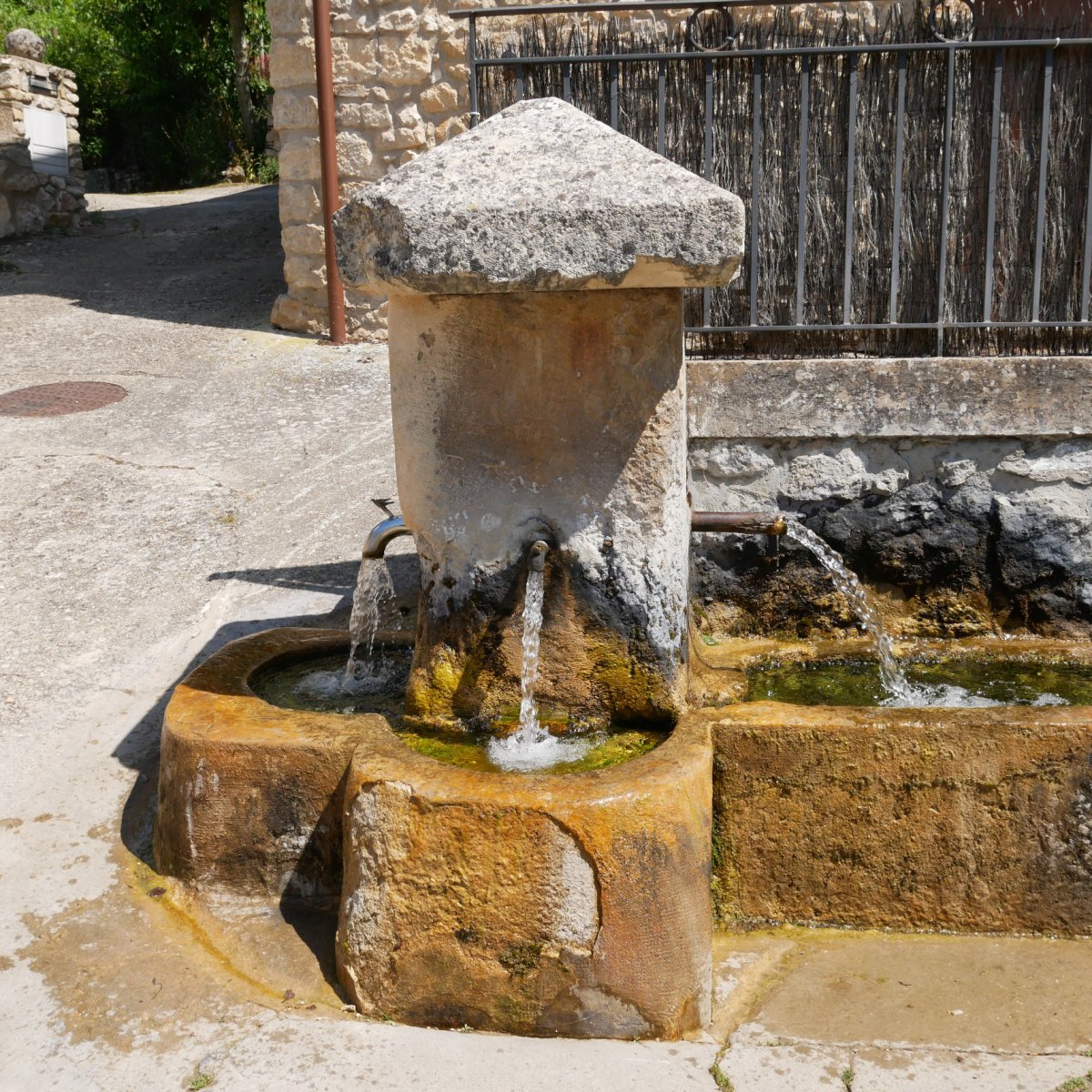 Iturria, Elortza