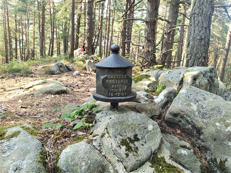 Buzoia