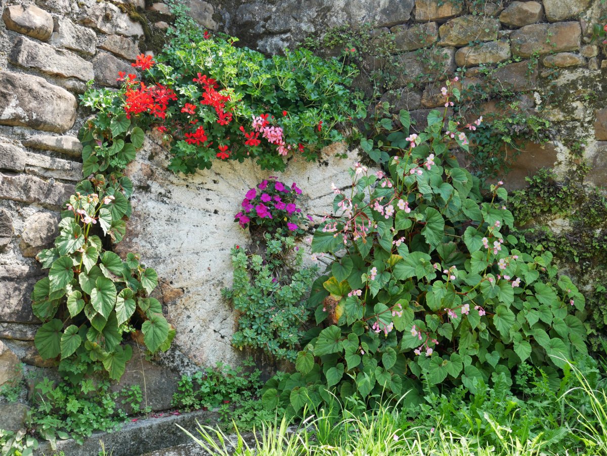 Garai errota, Bera