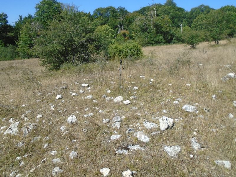 otatza 1