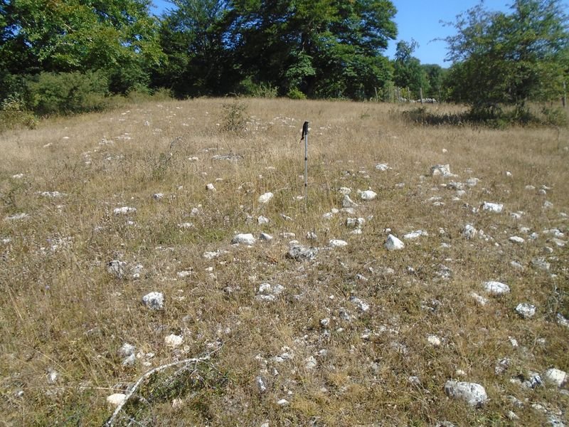 otatza 1