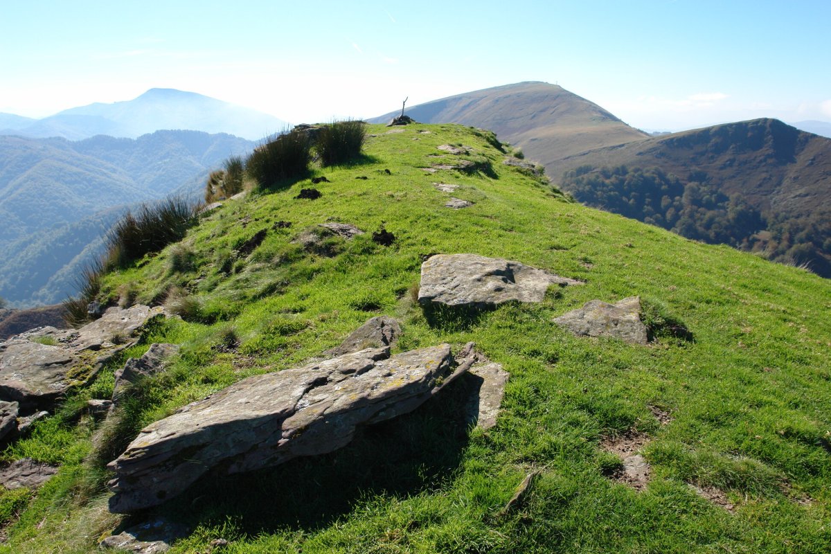 Tontorra